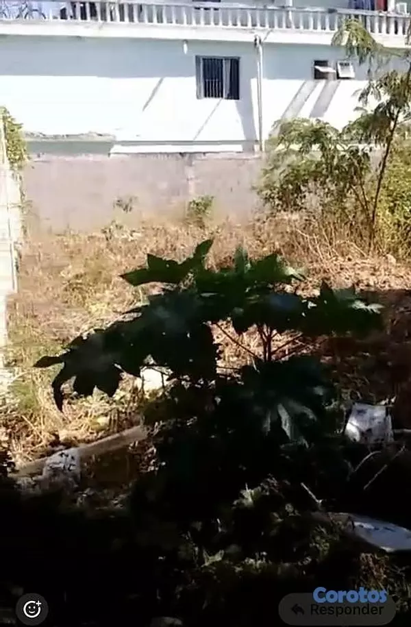 solares y terrenos - Se vende este solar de 352.99  metros en Brisa Oriental 🏙️ Santo Domingo Este.
 5