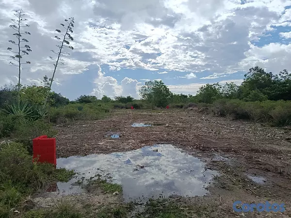 solares y terrenos - Solar venta bravo punta cana 9