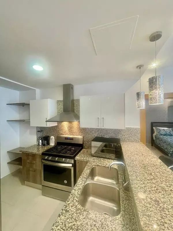 apartamentos - VENDO APARTAMENTO AMUEBLADO, EVARISTO MORALES  10