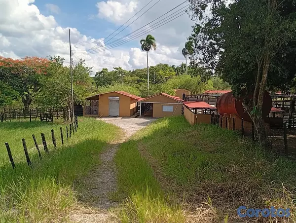 solares y terrenos - finca en Gaspar Hernandez  4