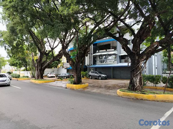 oficinas y locales comerciales - RENTO LOCAR COMERCIAL- EN EL SECTOR GAZCUE  3
