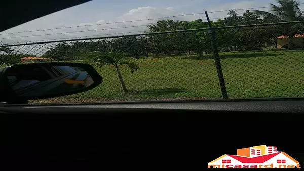 solares y terrenos - Solar Residencial de 96,500 metros en Boca Chica 7