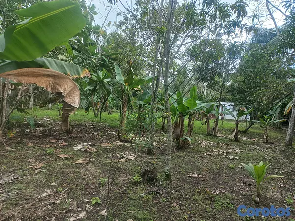 solares y terrenos - Venta finca 8