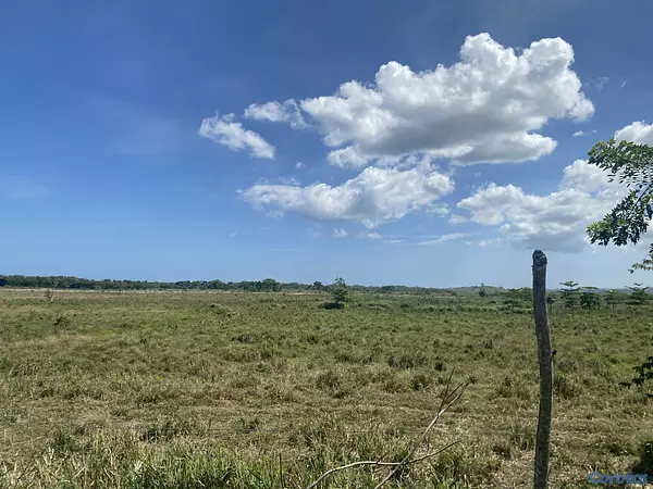 solares y terrenos - 40 mil mts en puerto plata  5