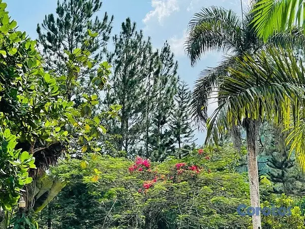 casas vacacionales y villas - FINCA PRIVADA EN VENTA – LA CUMBRE, BONAO 4