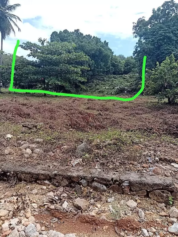 solares y terrenos - terreno frente al mar en Sámana  6