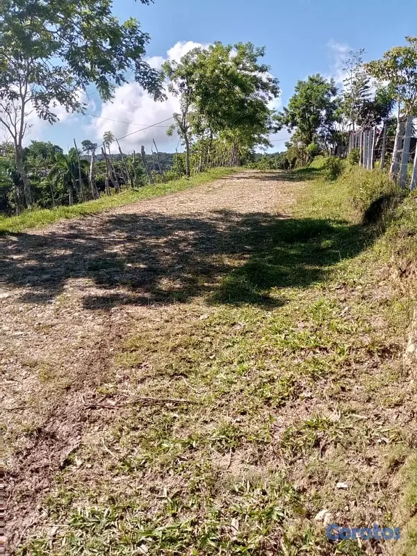 solares y terrenos - finca ganadera en moca  5