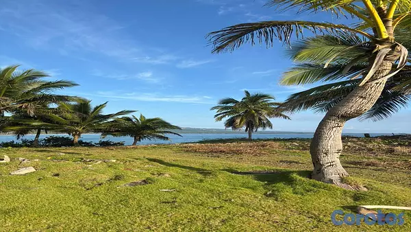 solares y terrenos - Solar Frente al Mar en Cabrera en Venta | 4,499 m² a 5 Minutos de la Playa 4