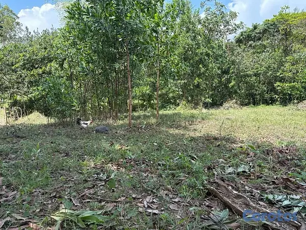 solares y terrenos - Lotes (terrenos) campestre En Los Mogotes, Villa Altagracia, En Proyecto Cerrado 3