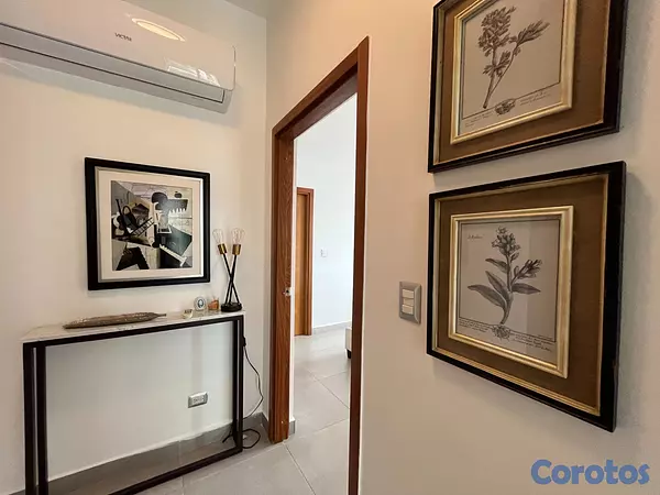 apartamentos - Apartamento en Alquiler en Piantini Amueblado de U 20