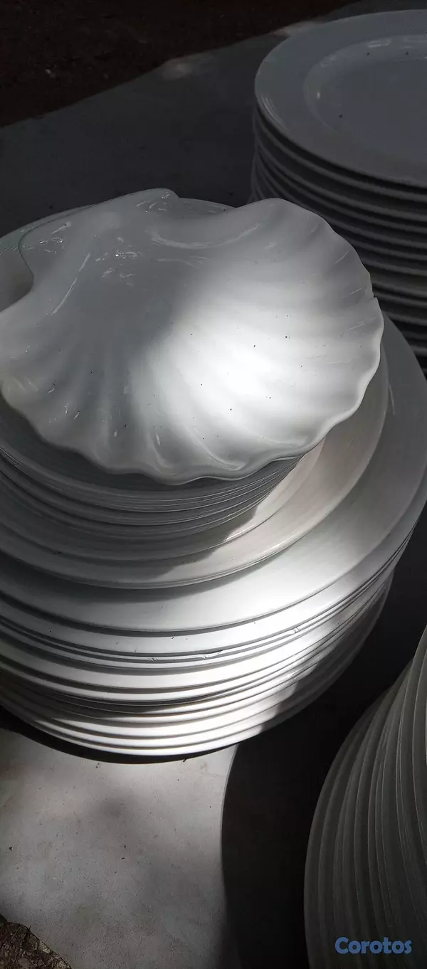 cocina - Oferta de Platos de porcelana grandes (blancos y n 2