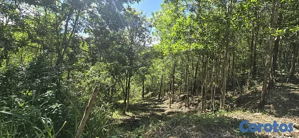 solares y terrenos - Terreno en venta (Jarabacoa)312mt2, Zona Turística 2