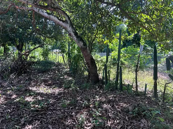 solares y terrenos - Terreno en EL PEDREGAL 4