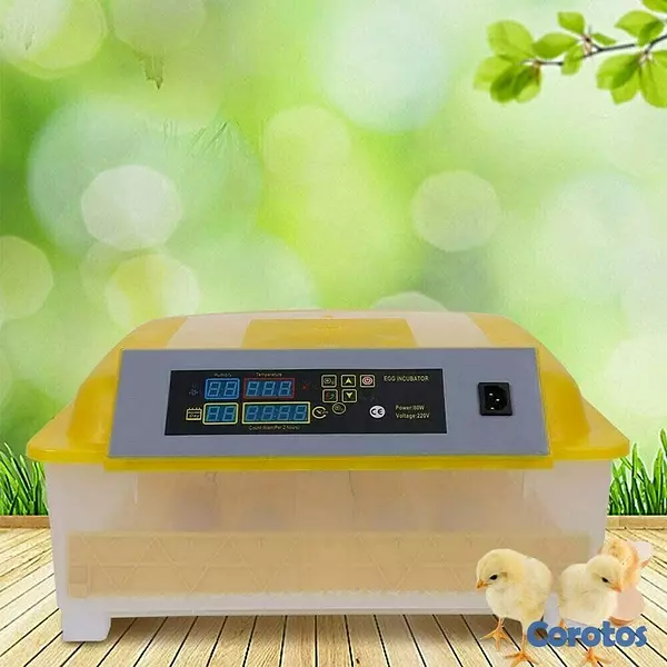 equipos profesionales - Incubadoras de 48 huevos digital automatico para Pollo Aves de corra 9