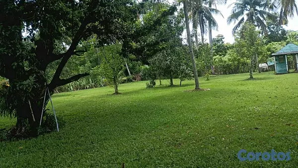 otros inmuebles - excelente finca de 50 tareas en Santo Domingo  8