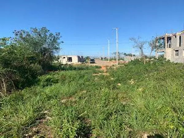 solares y terrenos - VENTA SOLAR DE 7,542.06M2 EN LA CALETA-BOCA CHICA 4