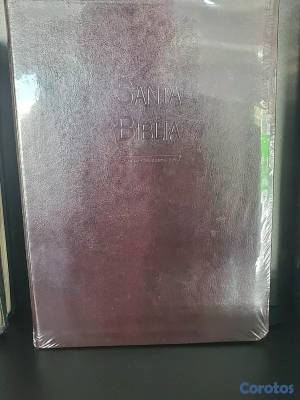 libros y revistas - Vendo Biblias. 4