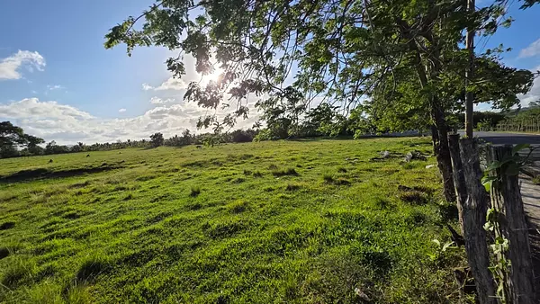solares y terrenos - finca de 500 tareas en nagua  4