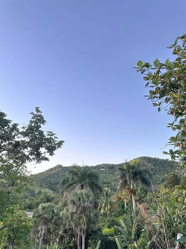 solares y terrenos - Finca de 7 Tareas con Caseta y Piscina en Las Montañas  7