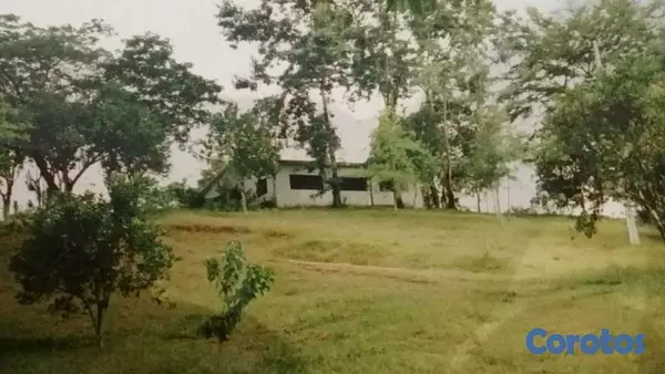 solares y terrenos - Finca con Oro en San Cristobal Documentos en orden 7
