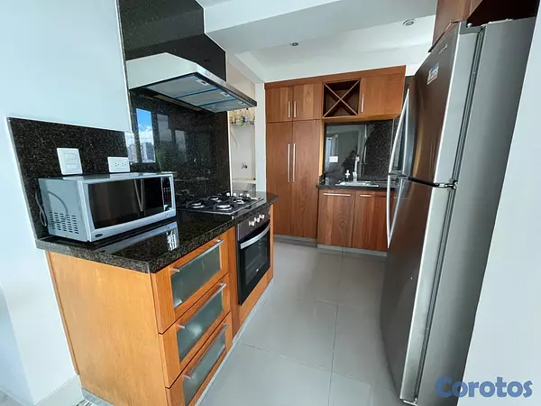 apartamentos - Apartamento en Alquiler en Naco Amueblado de UNA H 3