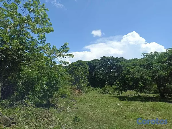 solares y terrenos - Se vendé este terreno con título definitivo  2