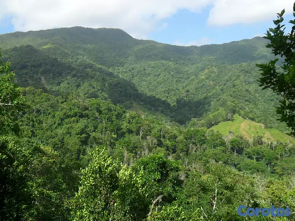solares y terrenos - SE VENDE HERMOSA FINCA EN EL CACAO de San Cristoba 5