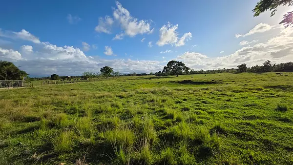 solares y terrenos - finca de 500 tareas en nagua  6