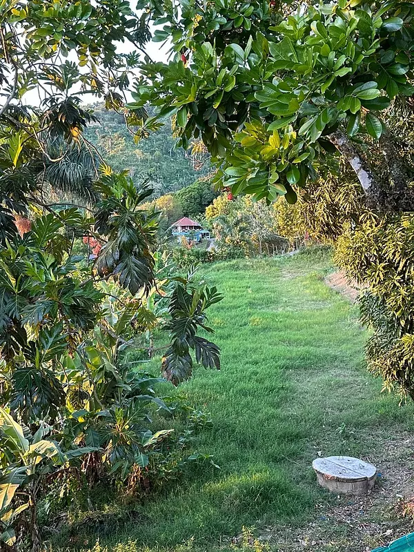 solares y terrenos - Finca de 7 Tareas con Caseta y Piscina en Las Montañas  9