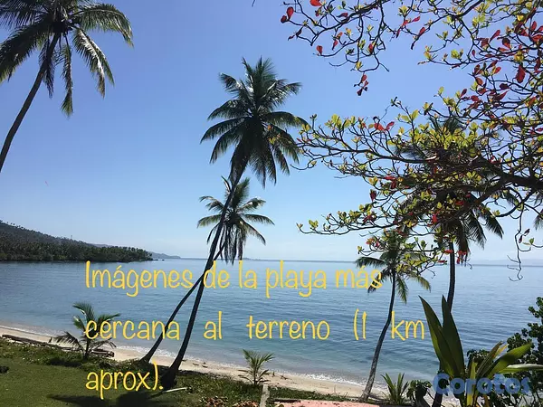 solares y terrenos - Venta Terreno desde 2,000 metros hasta 90,000 metr 18