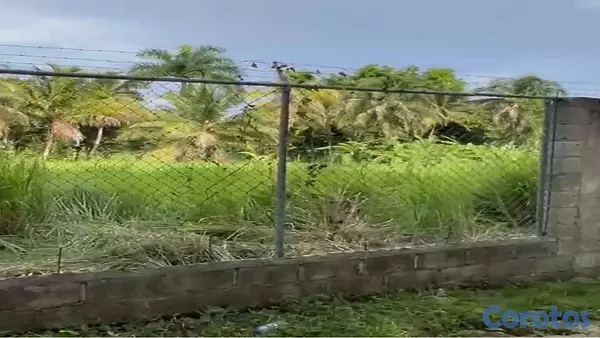 solares y terrenos - Terrenos Autopista Duarte 5