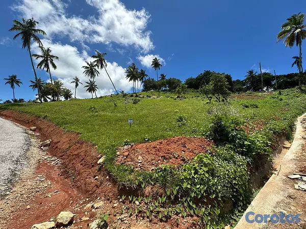 solares y terrenos - Terrenos con Vista Panorámica al Mar en Samaná #15 8
