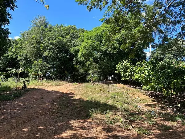 solares y terrenos - Terreno en EL PEDREGAL 5