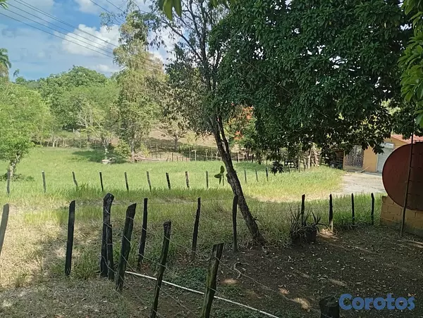solares y terrenos - finca en Gaspar Hernandez  9