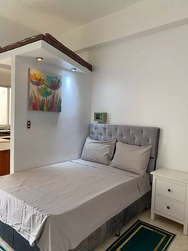 apartamentos - Alquiler Estudio ubicado en la Zona Colonial, Santo Domingo 2