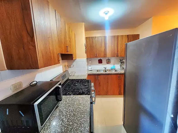 apartamentos - Penthouse de venta en La Yapur Dumit, Santiago 6