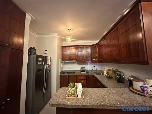 apartamentos - Prox al Bravo de la Nuñez, apto en el Millon 9