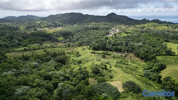 solares y terrenos - Venta de solar en Samana 2