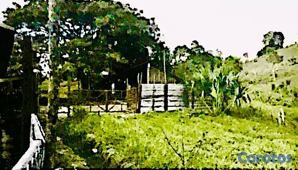 solares y terrenos - finca de 729 tareas en san José de las matas  16