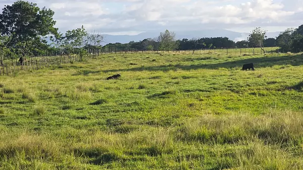 solares y terrenos - finca de 500 tareas en nagua  10
