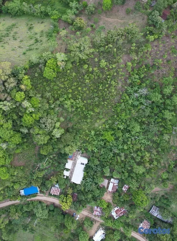 solares y terrenos - 20 tareas entrada a carretera,al lado escuela salome urena,asceso a agua y luz. 8