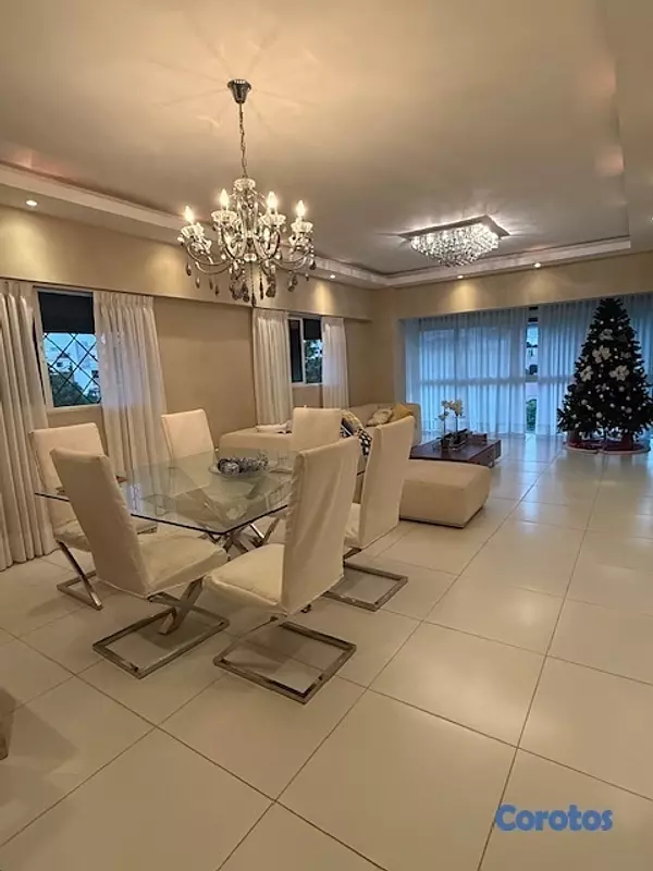 penthouses - Apto. en Gazcue, último piso con terraza 3