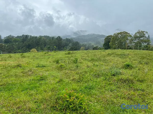solares y terrenos - Terreno en jarabacoa 3