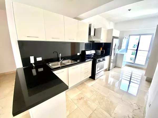 apartamentos - Apartamento Amueblado en Venta en Piantini 6