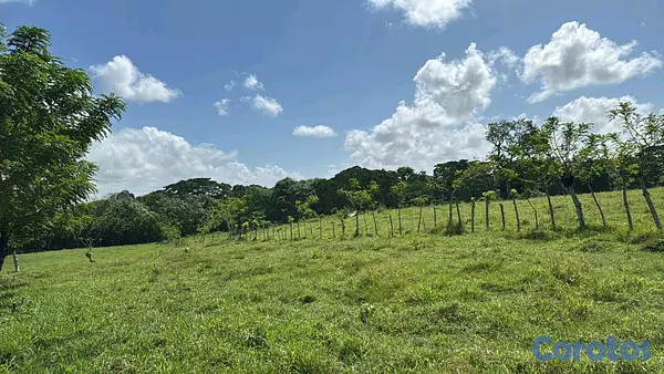 otros inmuebles - finca de 510 tareas en Monte Plata  4