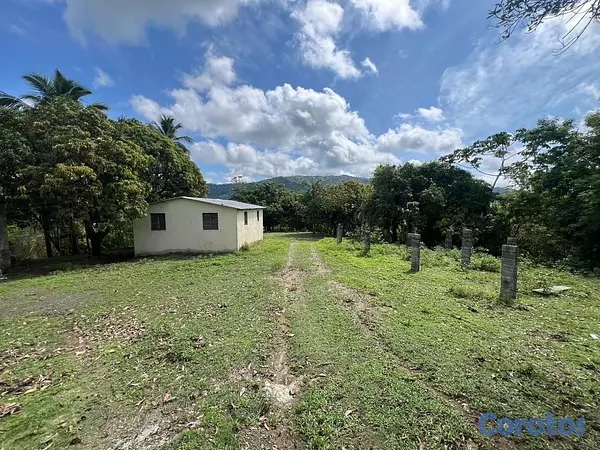 solares y terrenos - Vendo Finca en Yamasa, Monteplata 9