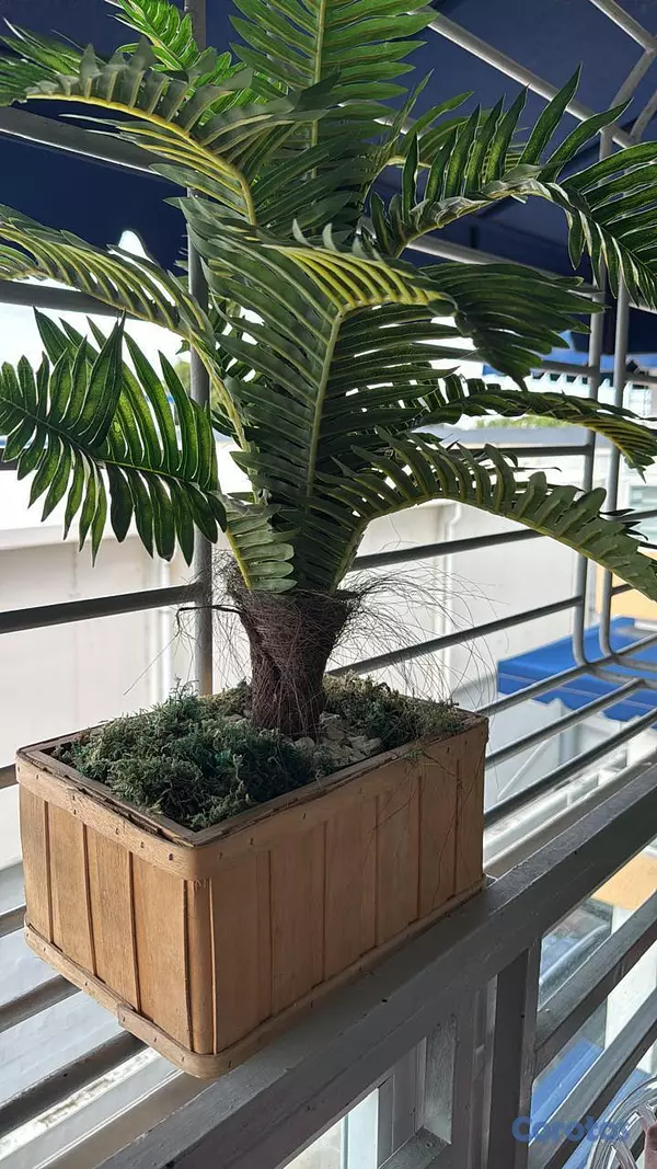 decoración y accesorios - Artículos  del hogar 8