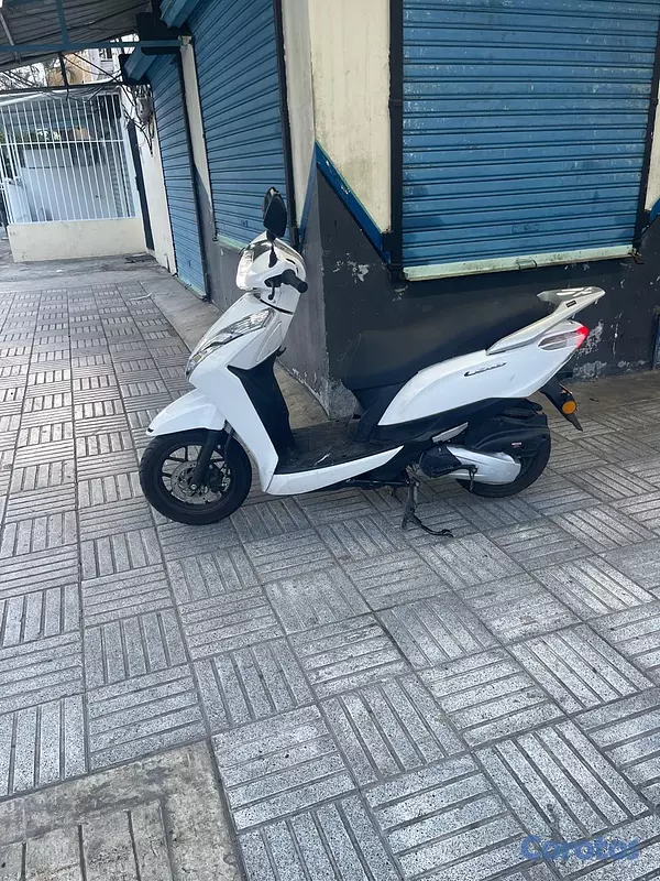 motores y pasolas - TAURO LEAD 2025 2
