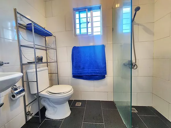 apartamentos - Penthouse de venta en La Yapur Dumit, Santiago 9