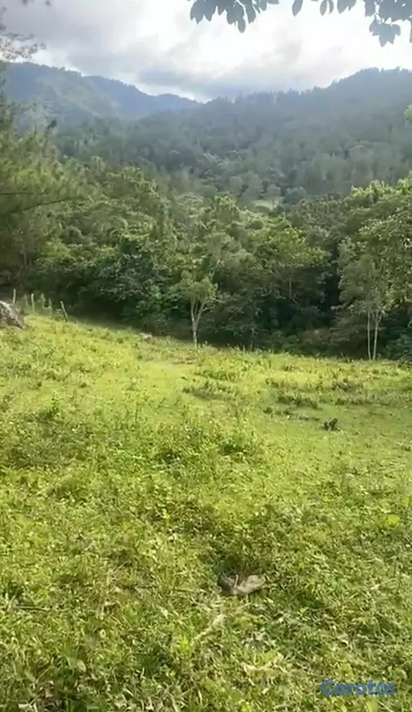 solares y terrenos - TERRENO EN VENTA - JARABACOA. 5